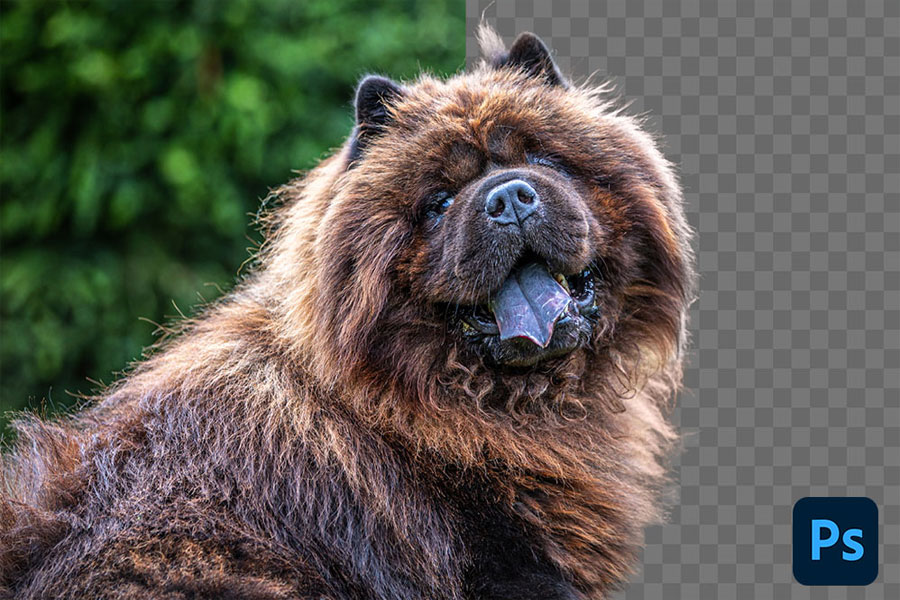 Xử lý hình ảnh phức tạp nhanh chóng bằng Photoshop
